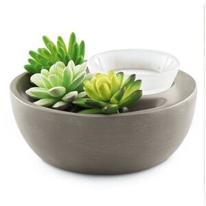 Gray Succulent Planter with Candle Holder